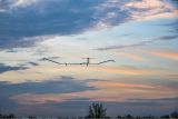 Airbus Zephyr Solar High Altitude Pseudo-Satellite flies for longer than any other aircraft during its successful maiden flight